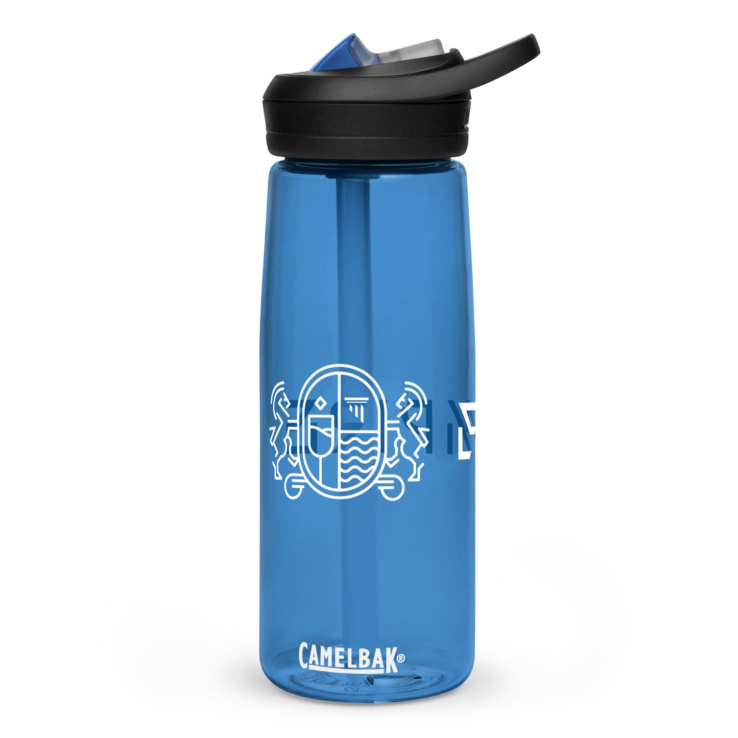 Sports water bottle