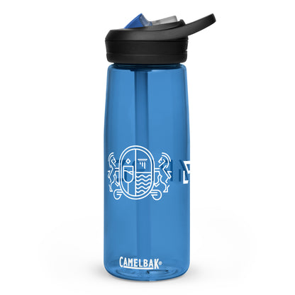 Sports water bottle